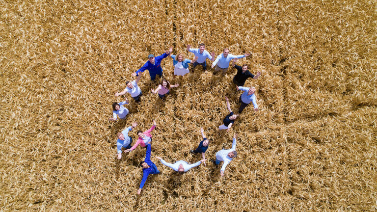 Menschen in einem Kreis auf einem Weizenfeld.
