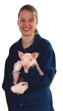 BAT Agrar Mitarbeiter mit einem Ferkel im Arm.